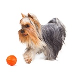 Іграшка для собак Liker М'ячик 5 см (6298)