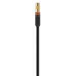 Відеокабель BELKIN ProAV 1000 RCA (M/ M) Belkin ProAV 1000 2 м Black