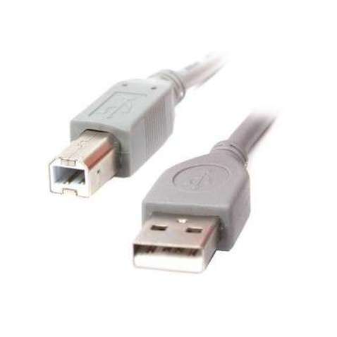 Кабель USB Gembird (CCP-USB2-AMBM-6G Grey) (AM/BM) 1.8m