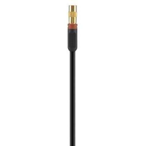 Відеокабель BELKIN ProAV 1000 RCA (M/ M) Belkin ProAV 1000 2 м Black