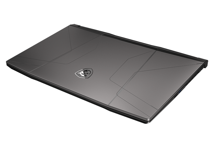 Ноутбук MSI GL66-11UEK Pulse (GL6611UEK-250XUA) Titanium Gray