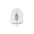 Миша Modecom MC-M10S (M-MC-M10S-200) White USB