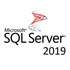 ПЗ для сервера Microsoft SQL Server 2019 - 1 User CAL Commercial, Perpetual (DG7GMGF0FKZW_0003)