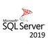 ПЗ для сервера Microsoft SQL Server 2019 Enterprise Core - 2 Core License Pack Commer (DG7GMGF0FKZV_0001)