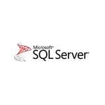 ПЗ для сервера Microsoft SQL Server Enterprise Edition SNGL SA NL (810-04977)