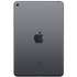 Планшет Apple A2124 iPad mini 5 Wi-Fi +4G 256GB Space Grey (MUXC2RK/A)