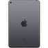 Планшет Apple A2133 iPad mini 5 Wi-Fi 256GB Space Grey (MUU32RK/A)