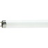 Лампочка Philips TL-D G13 1200mm 36W/33-640 1SL/25 (928048503351)