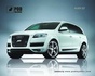 Килимок  PODMYSHKU Audi Q7