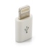 Перехідник  micro USB to Lightning Extradigital (KBA1648)