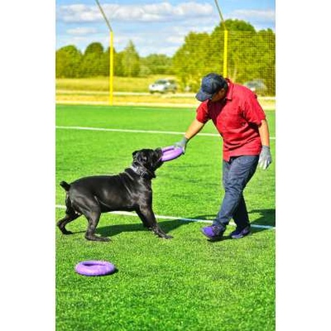 Іграшка для собак Puller Maxi 30 см (6492)