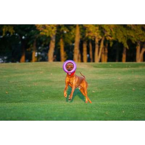 Іграшка для собак Puller Maxi 30 см (6492)