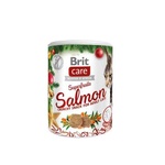 Ласощі для котів Brit Care Cat Superfruits 100 г (лосось та обліпиха) (8595602558568)