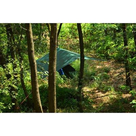 Тент 3F Ul Gear 15D Tarp 5х3 Green (15D5-3)