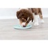 Посуд для собак Trixie Миска «Junior» для повільного годування 21 см (м'ятний) (4011905349589)