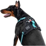 Шлея для собак WAUDOG Nylon безпечна з QR паспортом S блакитна (52472)