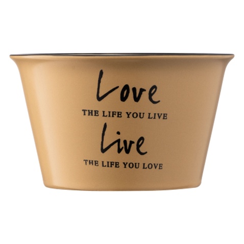 Бульйонниця Ardesto Way of Life 550 мл Beige (AR3479OL)