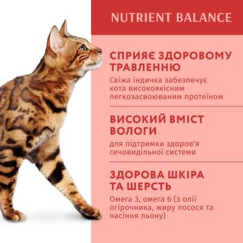 Вологий корм для кішок Optimeal з індичкою в гарбузовому соусі 85 г (4820215365857)