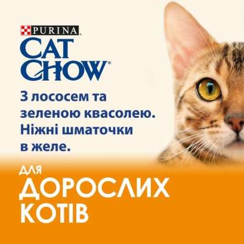 Вологий корм для кішок Purina Cat Chow Adult з лососем і зеленою квасолею в желе 85г (7613036595063)