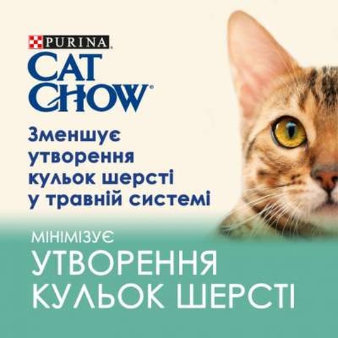 Вологий корм для кішок Purina Cat Chow Hairball з куркою та зеленою квасолею в желе 85г (7613037031393)