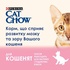 Сухий корм для кішок Purina Cat Chow Kitten з куркою 15 кг (5997204514028)