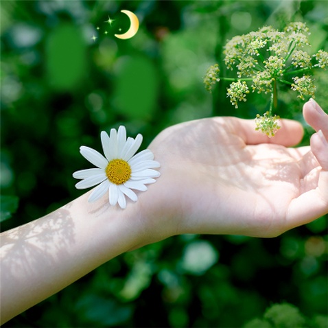 Гігієнічні прокладки Naturella Ultra Night 7 шт (4015400435846)