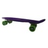 Скейтборд дитячий GO Travel Фіолетовий із зеленими колесами (LS-P2206PGS)