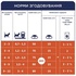 Сухий корм для кішок Club 4 Paws Преміум. Для кошенят зі смаком курки 300 г (4820083909115)