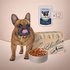 Вологий корм для собак Club 4 Paws Selection Плюс Шматочки з лососем та макрелью в соусі 85 г (4820215368056)