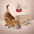 Вологий корм для кішок Club 4 Paws Selection Плюс Полоски с кроликом в соусе 85 г (4820215368087)