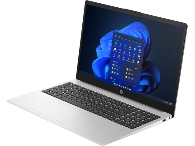 Ноутбук  HP 250 G10 (8D4L6ES)
