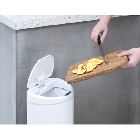 Контейнер для сміття Xiaomi Ninestars Sensor Trash Can (DZT-10-29S)