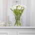 Ваза Trend Glass Sandra 19 см (35060)