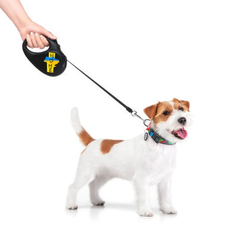 Повідок для собак WAUDOG R-leash Дім світловідбиваюча стрічка XS 3 м (8123-0230-01)