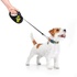 Повідок для собак WAUDOG R-leash Дім світловідбиваюча стрічка XS 3 м (8123-0230-01)