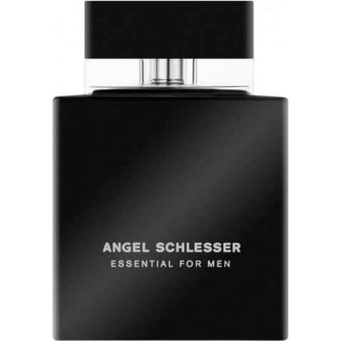 Туалетна вода Angel Schlesser Essential for Men 100 мл (8427395680204)