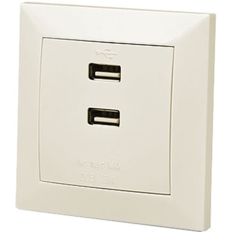 USB розетка REAL-EL Розетка USB (Comfort-60025-C)