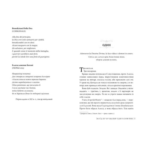 Книга Остання Фінестра. Книга 1: Це безжальне благословення - Емілі Сід Видавництво РМ (9786178373764)