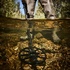 Металошукач Minelab Equinox 800 + Pro Find 35
