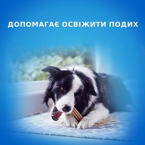 Ласощі для собак Purina DentaLife Medium Для підтримки здоров'я порожнини рота 115 г (7613035379794)