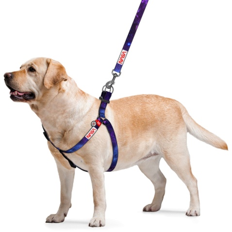 Шлея для собак WAUDOG Nylon з QR-паспортом "NASA21" S (4800-0148)