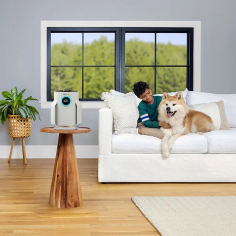 Очисник повітря Shark NeverChange5 Air Purifier Compact Pro (HP072EU)