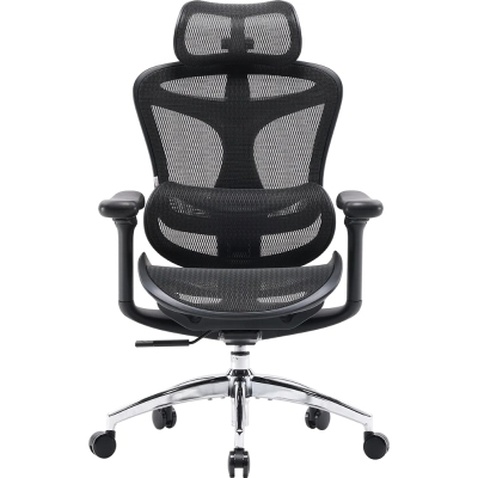 Офісне крісло Sihoo DORO C300L Mesh Black (DORO-C300L-A3-101)