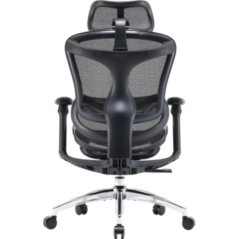 Офісне крісло Sihoo DORO C300L Mesh Black (DORO-C300L-A3-101)