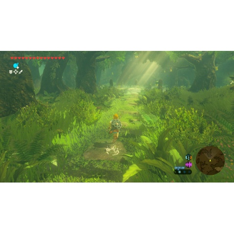 Гра Nintendo Legend of Zelda Breath of the Wild, картридж (Switch 2) (0045496312664)